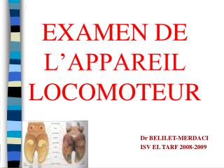 EXAMEN DE L’APPAREIL LOCOMOTEUR