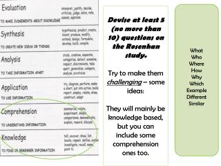 What Who Where How Why Which Example Different Similar