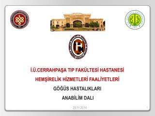 İ.Ü.CERRAHPAŞA TIP FAKÜLTESİ HASTANESİ HEMŞİRELİK HİZMETLERİ FAALİYETLERİ GÖĞÜS HASTALIKLARI