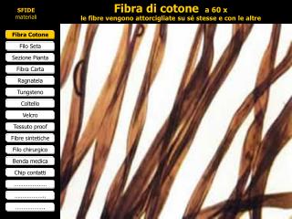 Fibra di cotone a 60 x le fibre vengono attorcigliate su sé stesse e con le altre