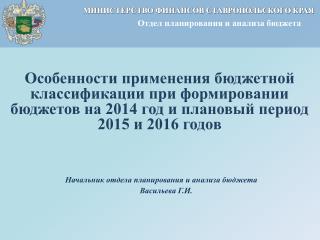 Начальник отдела планирования и анализа бюджета Васильева Г.И.