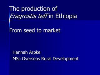 The production of Eragrostis teff in Ethiopia From seed to market