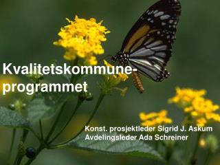 Kvalitetskommune- programmet