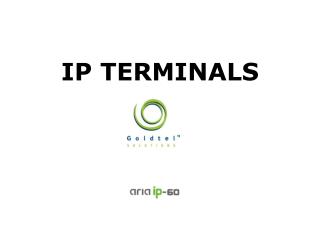 IP TERMINALS