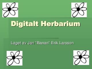 Digitalt Herbarium