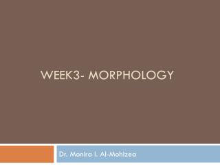 Week3- Morphology