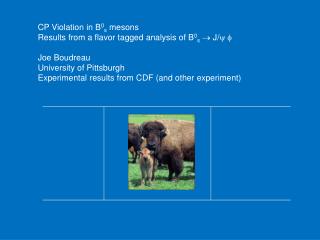 CP Violation in B 0 s mesons Results from a flavor tagged analysis of B 0 s  J/ y f