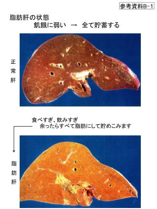 参考資料 B- １