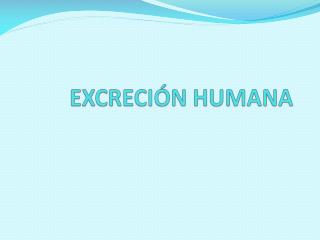 EXCRECIÓN HUMANA