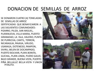 DONACION DE SEMILLAS DE ARROZ