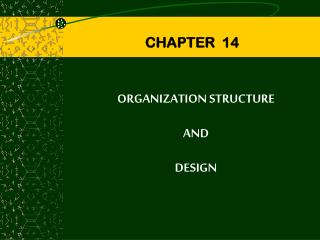 ORGANIZATION STRUCTURE AND DESIGN