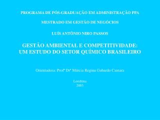 PROGRAMA DE PÓS-GRADUAÇÃO EM ADMINISTRAÇÃO PPA MESTRADO EM GESTÃO DE NEGÓCIOS