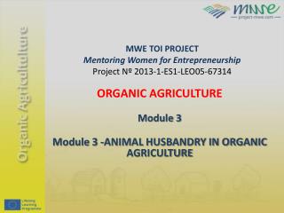 MWE TOI PROJECT Mentoring Women for Entrepreneurship Project Nº 2013-1-ES1-LEO05-67314