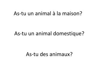 As- tu un animal à la maison ?