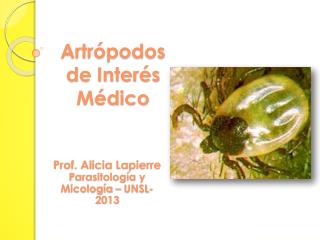 Artrópodos de Interés Médico