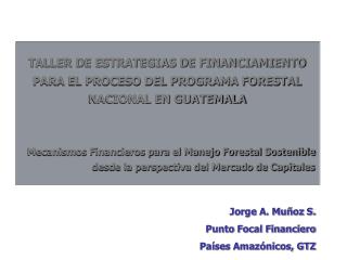 Jorge A. Muñoz S. Punto Focal Financiero Países Amazónicos, GTZ