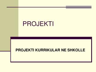 PROJEKTI