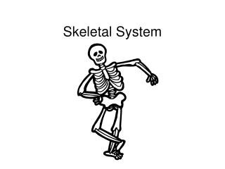 Skeletal System