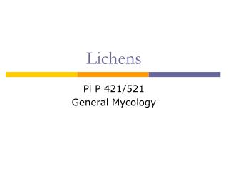 Lichens