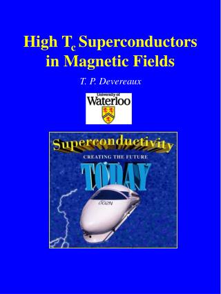 High T c Superconductors in Magnetic Fields