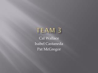 Team 3