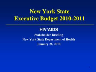 New York State Executive Budget 2010-2011