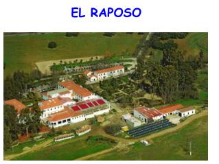 EL RAPOSO