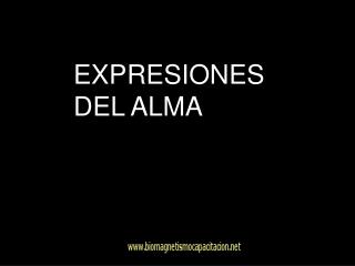 EXPRESIONES DEL ALMA