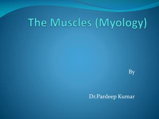 The Muscles ( Myology )