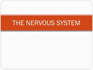 THE NERVOUS SYSTEM