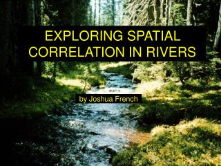 EXPLORING SPATIAL CORRELATION IN RIVERS