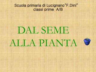 Scuola primaria di Lucignano“F.Dini”