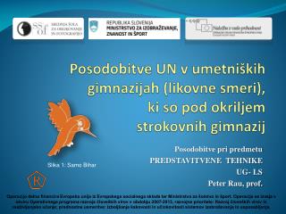 Posodobitve UN v umetniških gimnazijah (likovne smeri), ki so pod okriljem strokovnih gimnazij