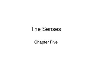 The Senses