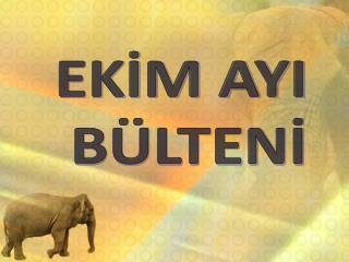 EKİM AYI BÜLTENİ