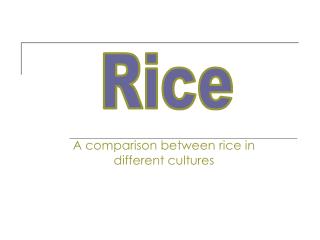 A comparison between rice in different cultures