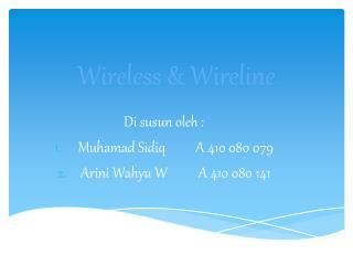 Wireless & Wireline