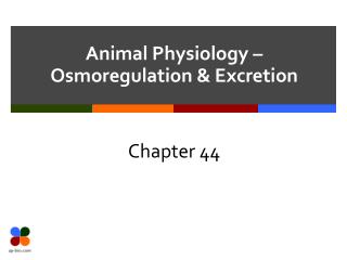 Animal Physiology – Osmoregulation &amp; Excretion
