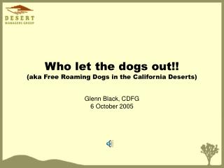 Who let the dogs out!! (aka Free Roaming Dogs in the California Deserts)