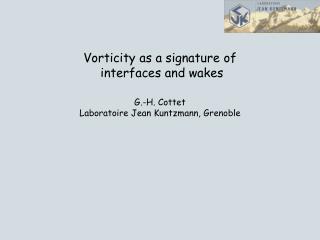 Vorticity as a signature of interfaces and wakes