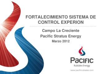 FORTALECIMIENTO SISTEMA DE CONTROL EXPERION