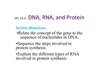 CH. 12.3 : DNA, RNA, and Protein