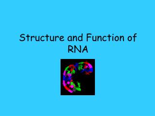 Structure and Function of RNA