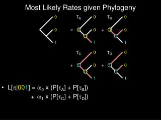 Most Likely Rates given Phylogeny