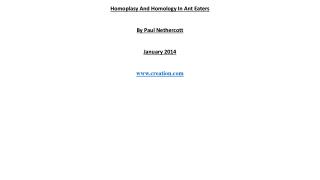 Homoplasy And Homology In Ant Eaters By Paul Nethercott January 2014 creation