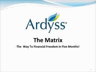 The Matrix The Way To Financial Freedom in Five Months!