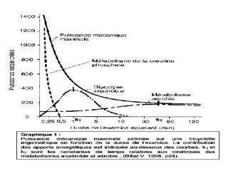 Les seuils : anaérobie, lactique et ventilatoire