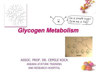 Glycogen Metabolism