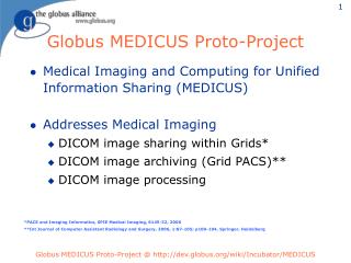 Globus MEDICUS Proto-Project