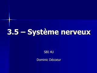 3.5 – Système nerveux